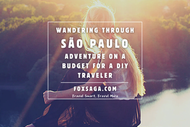 do it yourself travel guide informations sao paulo brazil wanderer traveler