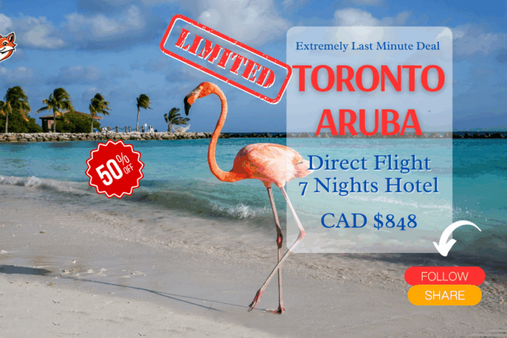 Limited last minute deal Toronto to Aruba DIY vacation deal adventure