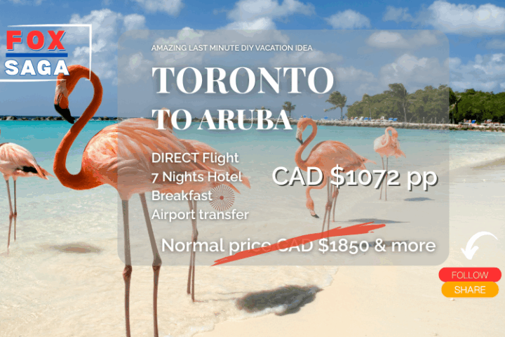 last minute vacation from Toronto to Aruba DIY adventure hotel and direct flight